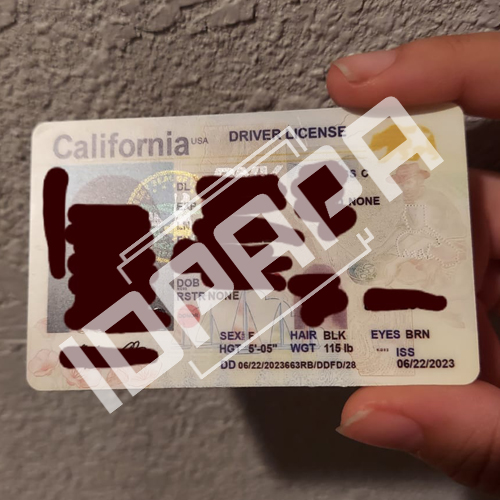 california-scannable-id-review01